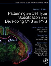 Produktbild: Patterning and Cell Type Specification in the Developing CNS and PNS