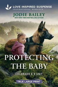 Produktbild: Protecting the Baby
