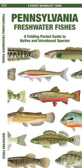Produktbild: Pennsylvania Freshwater Fishes