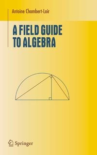Produktbild: A Field Guide to Algebra