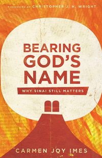 Produktbild: Bearing God's Name