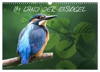 Produktbild: IM LAND DER EISV&Ouml;GEL (Wandkalender 2027 DIN A3 quer), CALVENDO Monatskalender