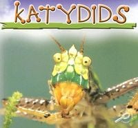 Produktbild: Katydids