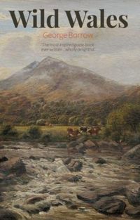 Produktbild: Wild Wales