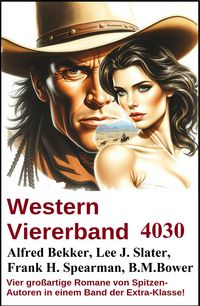 Produktbild: Western Viererband 4030