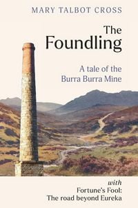 Produktbild: The Foundling