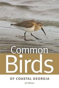 Produktbild: Common Birds of Coastal Georgia