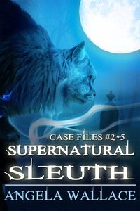 Produktbild: Supernatural Sleuth, Case Files #2-5