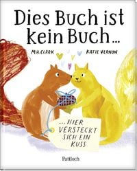 Produktbild: Dies Buch ist kein Buch, hier versteckt sich ein Kuss