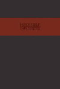 Produktbild: NIV Traveller's Bible