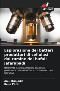 Produktbild: Esplorazione dei batteri produttori di cellulasi dal rumine dei bufali Jafarabadi