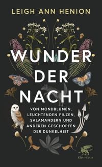 Produktbild: Wunder der Nacht