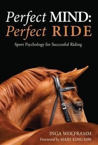 Produktbild: Perfect Mind: Perfect Ride