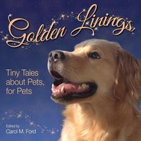 Produktbild: Golden Linings