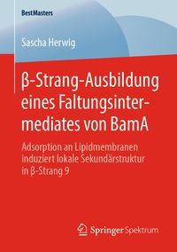 Bild vom Artikel Β-Strang-Ausbildung eines Faltungsintermediates von BamA vom Autor Sascha Herwig