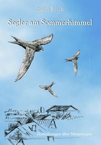 Produktbild: Segler am Sommerhimmel