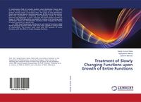 Produktbild: Treatment of Slowly Changing Functions upon Growth of Entire Functions