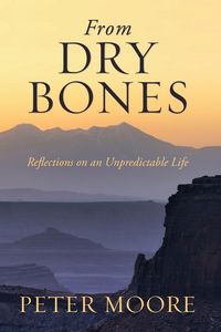 Produktbild: From Dry Bones