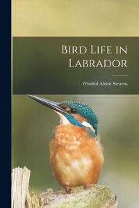 Produktbild: Bird Life in Labrador [microform]