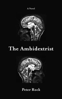 Produktbild: The Ambidextrist
