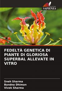 Produktbild: Fedelt&agrave; Genetica Di Piante Di Gloriosa Superbal Allevate in Vitro