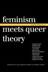 Produktbild: Feminism Meets Queer Theory