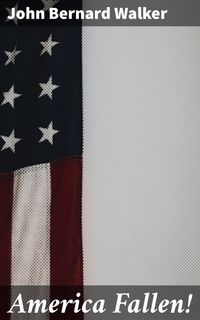 Produktbild: America Fallen!