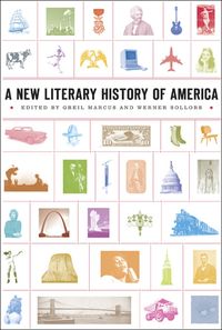Produktbild: New Literary History of America