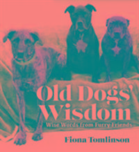 Produktbild: Old Dog Wisdom