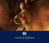 Produktbild: DC: Collecting the Multiverse