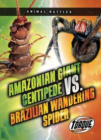 Produktbild: Amazonian Giant Centipede vs. Brazilian Wandering Spider