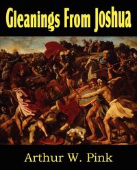 Produktbild: Gleanings from Joshua