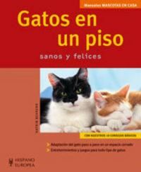 Produktbild: Gatos en un piso