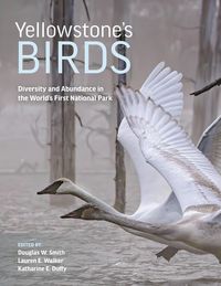 Produktbild: Yellowstone's Birds
