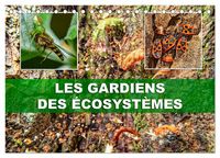 Produktbild: Les gardiens des &eacute;cosyst&egrave;mes (Calendrier de bureau 2026 DIN A5 vertical), CALVENDO calendrier mensuel