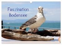 Produktbild: Faszination Bodensee (Wandkalender 2027 DIN A3 quer), CALVENDO Monatskalender