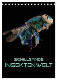Produktbild: Schillernde Insektenwelt (Tischkalender 2026 DIN A5 hoch), CALVENDO Monatskalender