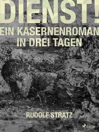 Produktbild: Dienst! Ein Kasernenroman in drei Tagen