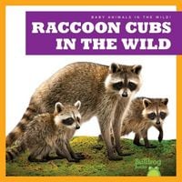 Produktbild: Raccoon Cubs in the Wild
