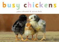 Produktbild: Busy Chickens