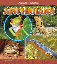 Produktbild: Amphibians