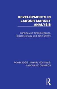 Produktbild: Developments in Labour Market Analysis