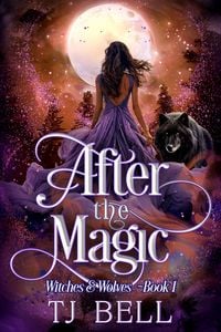 Produktbild: After the Magic