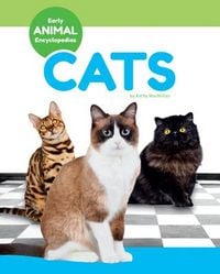 Produktbild: Macmillan, K: Cats