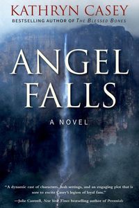 Produktbild: Angel Falls