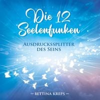 Produktbild: Die 12 Seelenfunken