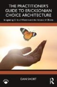 Produktbild: The Practitioner's Guide to Ericksonian Choice Architecture