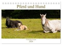 Produktbild: Pferd und Hund - Vierbeinige Freunde (Tischkalender 2026 DIN A5 quer), CALVENDO Monatskalender