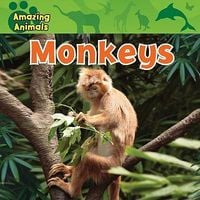 Produktbild: Monkeys