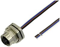 Produktbild: BKL Electronic 2703009 Sensor/Aktor Einbaubuchse M12 0.5m Polzahl Sensoren: 3 1St.